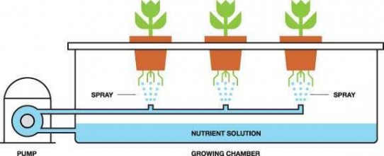 Aeroponics – Grow Systems